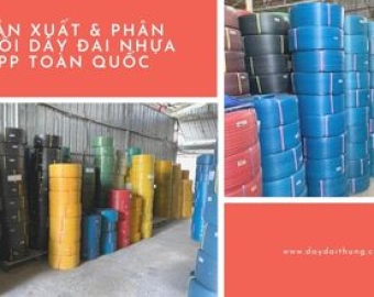Đỉa chỉ bán dây đai nhựa PP giá rẻ Bình Dương