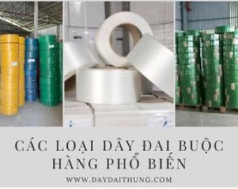 Các loại dây đai buộc hàng phổ biến trên thị trường