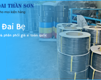 Dây đai bẹ Đồng Nai