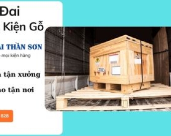 Dây đai đóng kiện gỗ Bình Dương