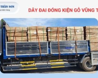 dây đai đóng kiện gỗ Vũng Tàu