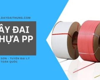 Dây đai nhựa An Giang