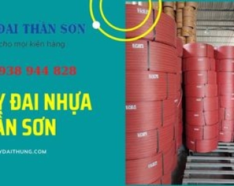 Dây đai nhựa Bảo Lộc