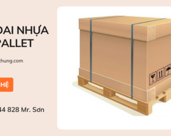 Dây đai nhựa cột Pallet