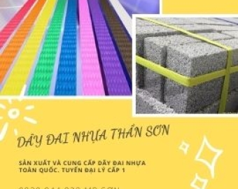 DÂY ĐAI NHỰA PP ĐỒNG NAI