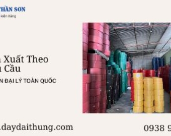 Dây đai nhựa niềng thùng Bình Dương