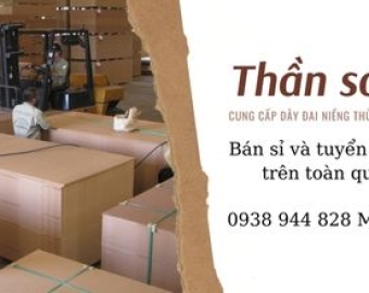 Dây đai nhựa niềng thùng Nha Trang