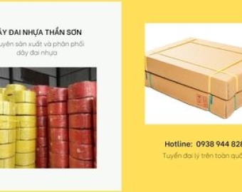 Dây đai nhựa niềng thùng Thuận An