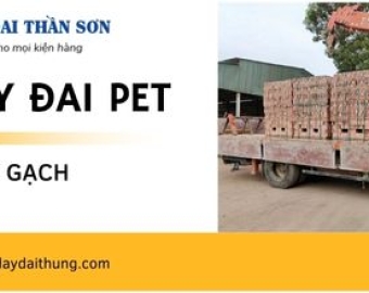 Dây đai nhựa PET buộc gạch