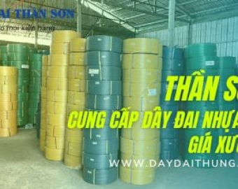 Dây đai nhựa PP Dầu Tiếng