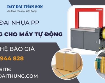 Dây đai nhựa PP dùng cho máy tự động
