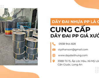 Dây đai nhựa PP là gì
