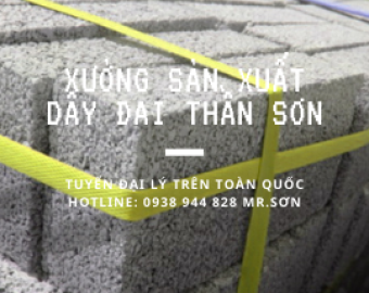 Dây đai nhựa PP Vũng Tàu