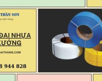 Dây Đai Nhựa Quy Nhơn