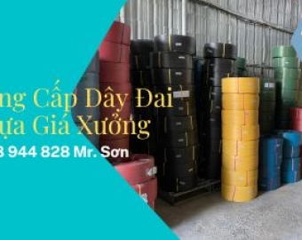 DÂY ĐAI NHỰA SƠN LA