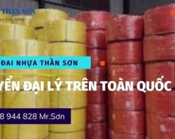 Dây Đai Nhựa Trà Vinh