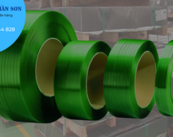 Dây đai PET Bình Dương