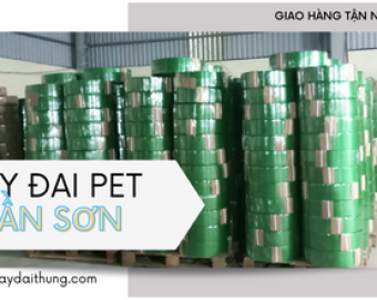 Dây đai Pet giá rẻ