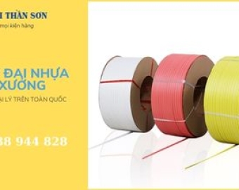 Giá dây đai nhựa PP