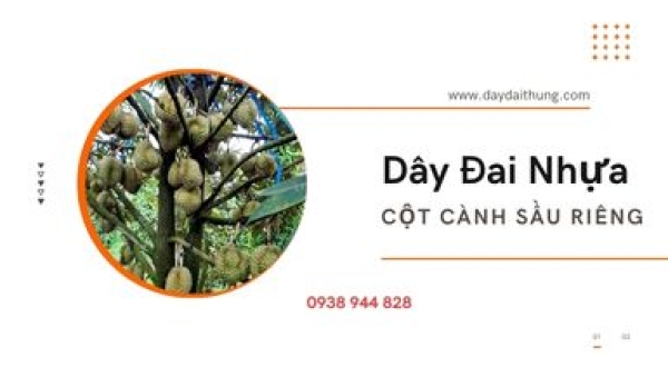 Bán dây cột cành sầu riêng tại Đắk Lắk