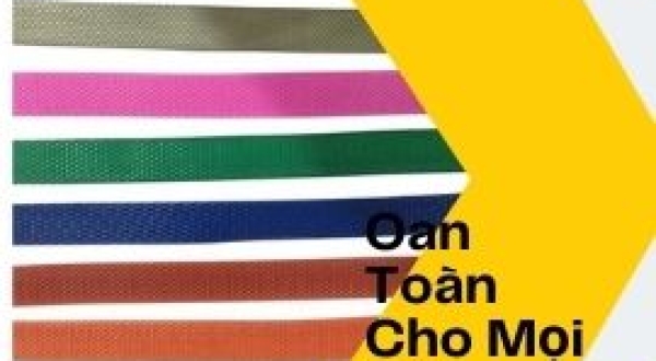 Dây Đai Nhựa Bình Dương