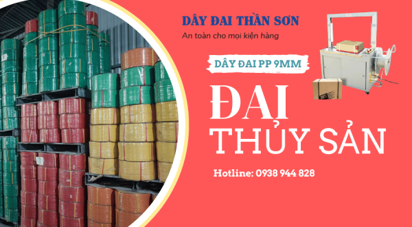Dây đai nhựa pp 9mm đai thủy sản
