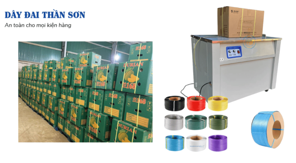 Dây đai nhựa đóng thùng sầu riêng