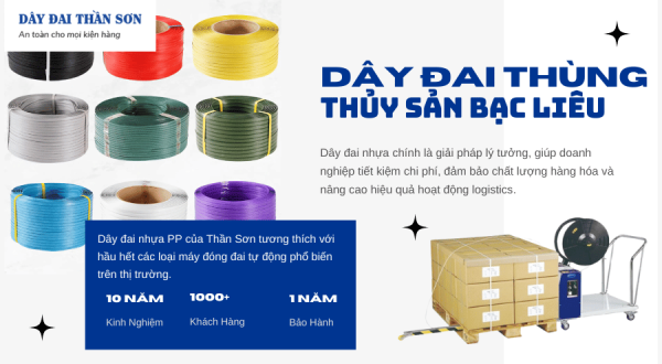Dây đai thùng thủy sản Bạc Liêu 