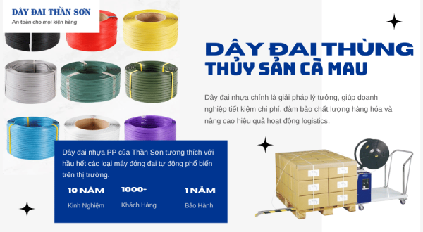 Dây đai thùng thủy sản Cà Mau