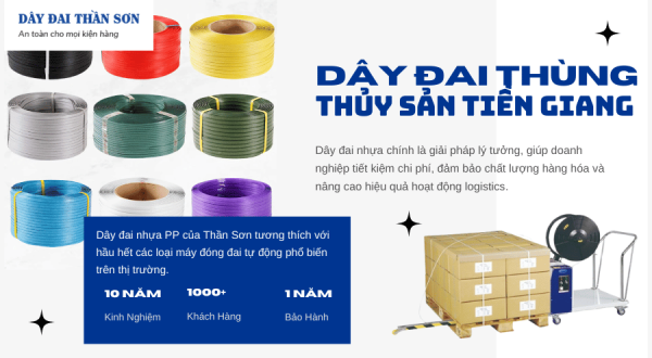 Dây đóng thùng thủy sản Tiền Giang 