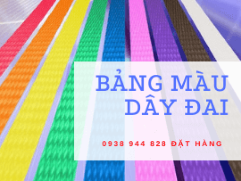 BẢNG MÀU DÂY ĐAI NHỰA