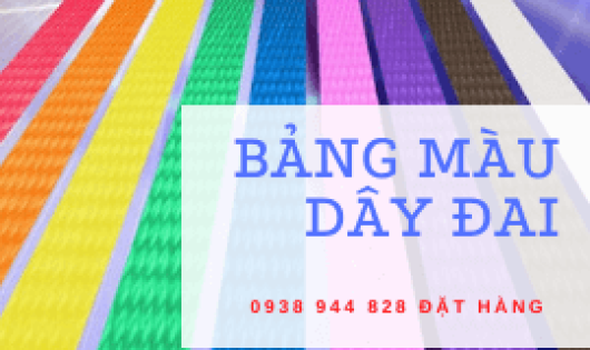 BẢNG MÀU DÂY ĐAI NHỰA